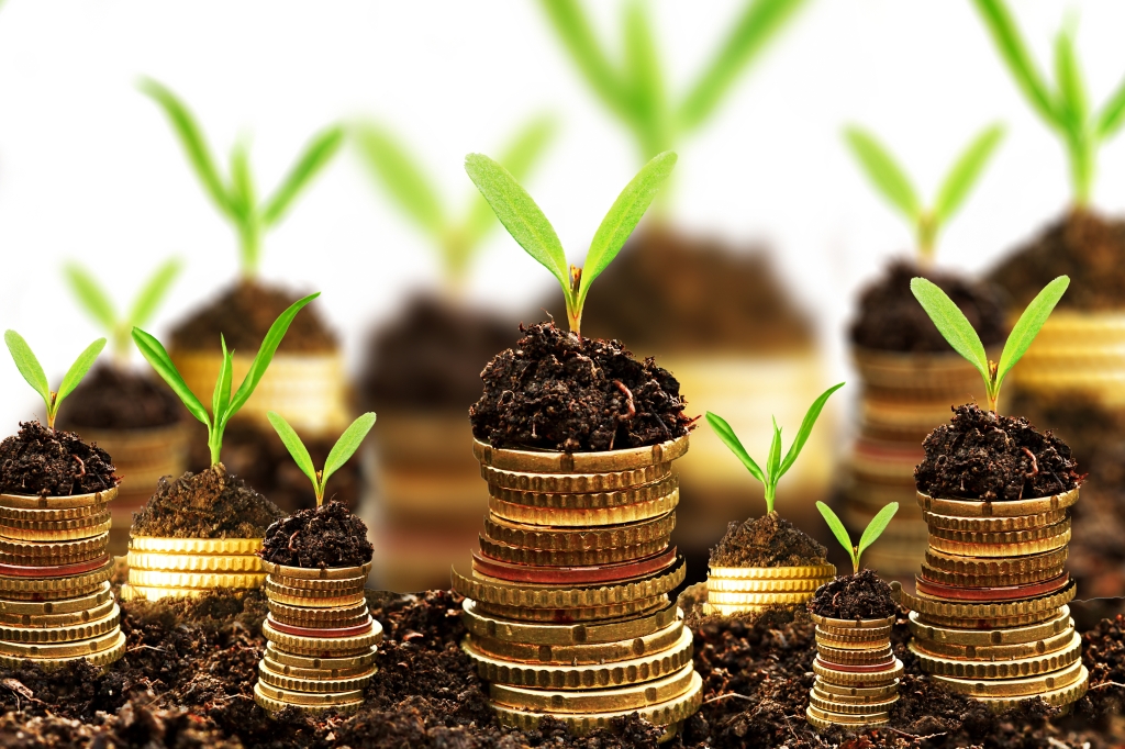 9 Mistakes Freelance Translators Should Avoid- Heavy Discounts-Golden coins in soil with young plants growing from them